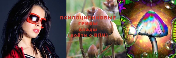 ПСИЛОЦИБИНОВЫЕ ГРИБЫ Алзамай