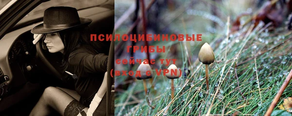 спиды Алексин