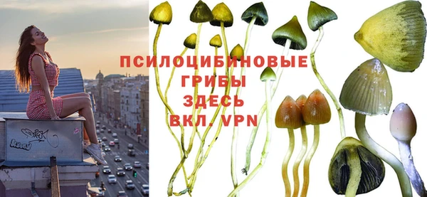 дживик Абинск