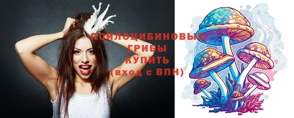 мет Абаза