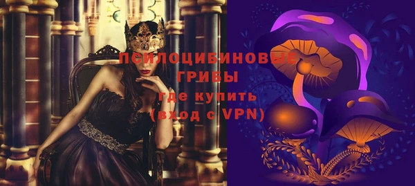 дживик Абинск