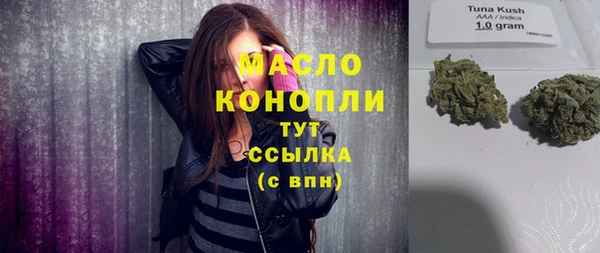 дживик Абинск